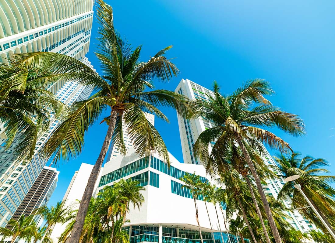 Business Insurance - Looking Up at Palm Trees Next to Modern Commercial Buildings Against a Bright Blue Sky in Florida