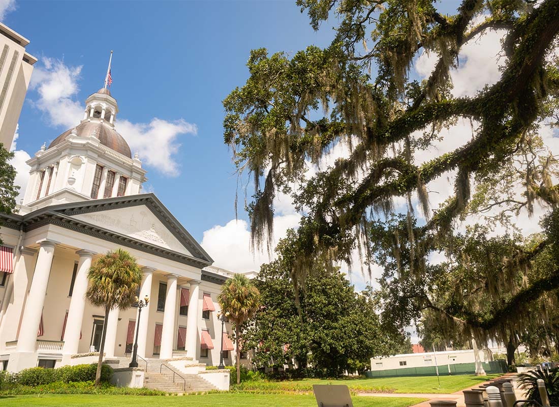 Tallahassee, FL - View of White Government Building Against a Blue Sky Next to a Southern Oak Tree in Tallahassee Florida